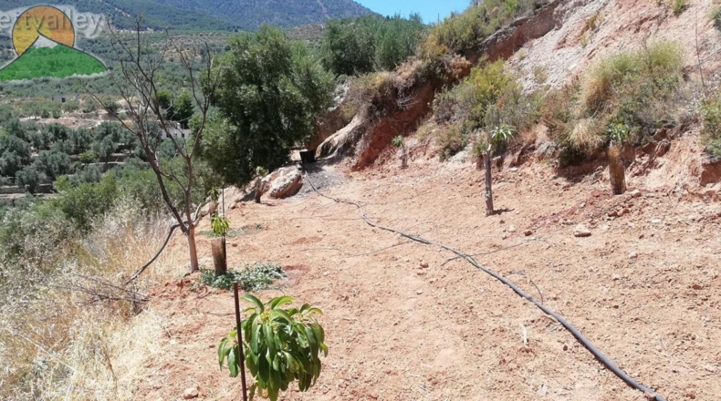 Granada - Pinos del Valle - 10000m2
