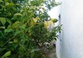 Земельный участок на продажу в городе Pinos del Valle Фото