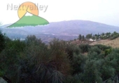 Земельный участок на продажу в городе Pinos del Valle Фото