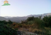 Земельный участок на продажу в городе Pinos del Valle Фото