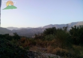 Земельный участок на продажу в городе Pinos del Valle Фото