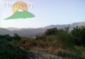 Земельный участок на продажу в городе Pinos del Valle Фото