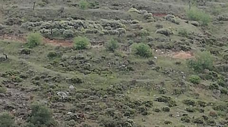 Granada - Dúrcal - 8000m2