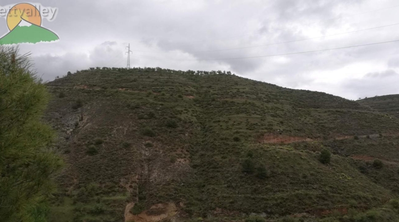 Granada - Dúrcal - 8000m2