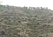 Terreno no urbanizable en venta en Dúrcal ref: TR262412 foto