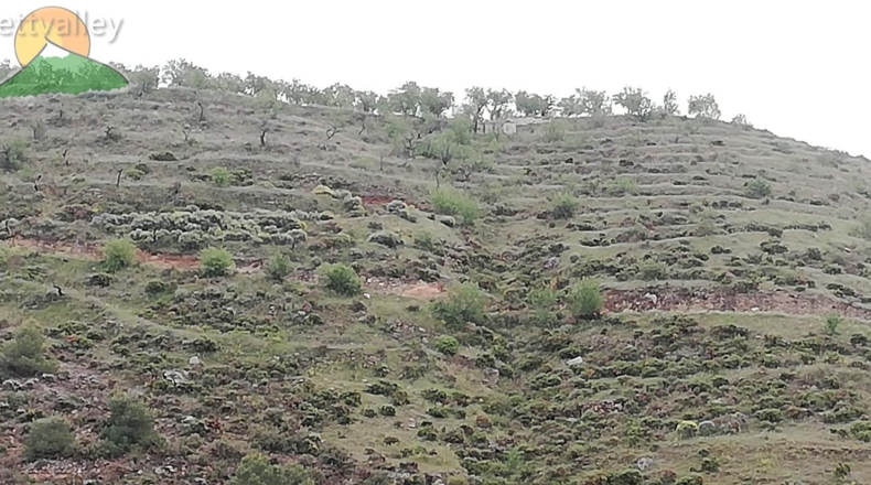 Granada - Dúrcal - 8000m2