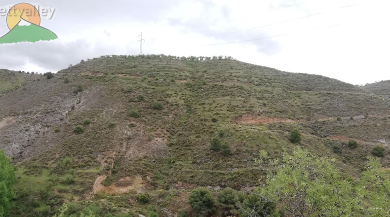 Granada - Dúrcal - 8000m2