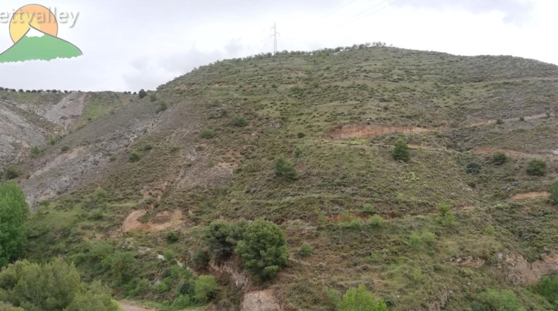 Granada - Dúrcal - 8000m2