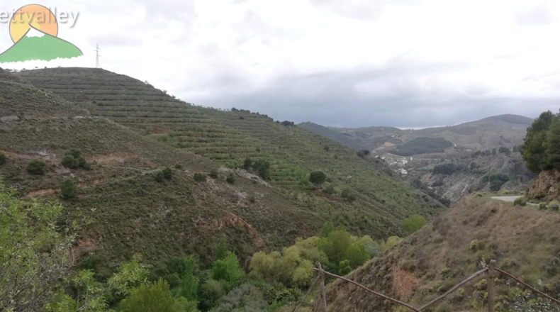 Granada - Dúrcal - 8000m2