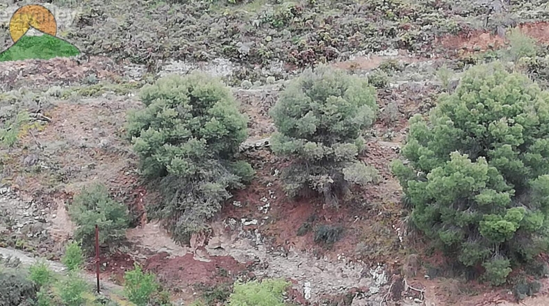 Granada - Dúrcal - 8000m2