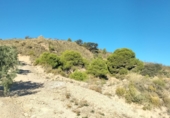 Terreny no urbanitzable en venda a la España, Pinos del Valle, ref.: TR254040 foto