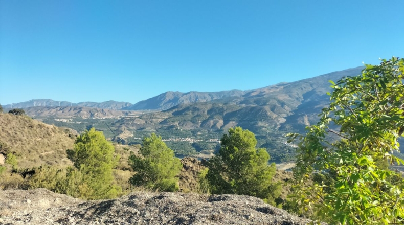 Granada - Pinos del Valle - 25343m2