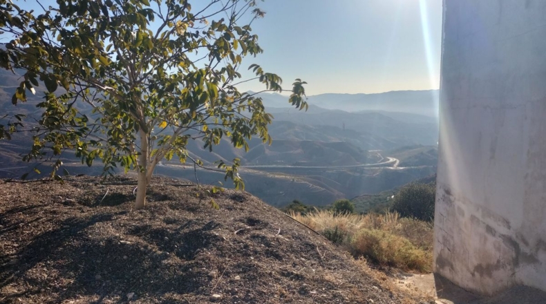 Granada - Pinos del Valle - 25343m2