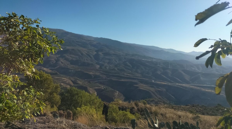 Granada - Pinos del Valle - 25343m2