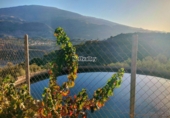 Terreno no urbanizable en venta en Ízbor ref: TR254041 foto