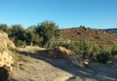 Terreno no urbanizable en venta en Ízbor ref: TR254041 foto