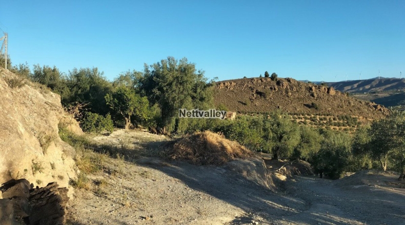 Granada - Ízbor - 3836m2