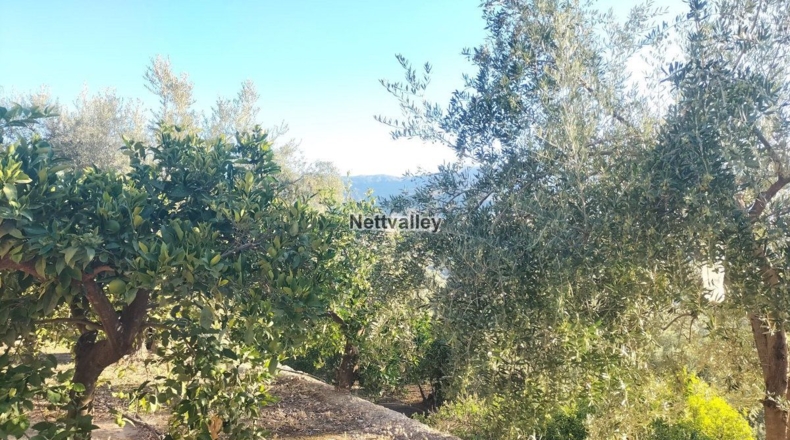 Granada - Ízbor - 3836m2