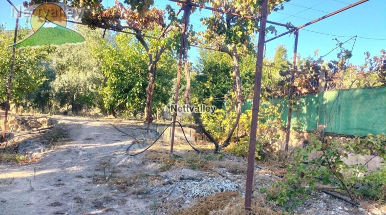 Granada - Pinos del Valle - 5676m2