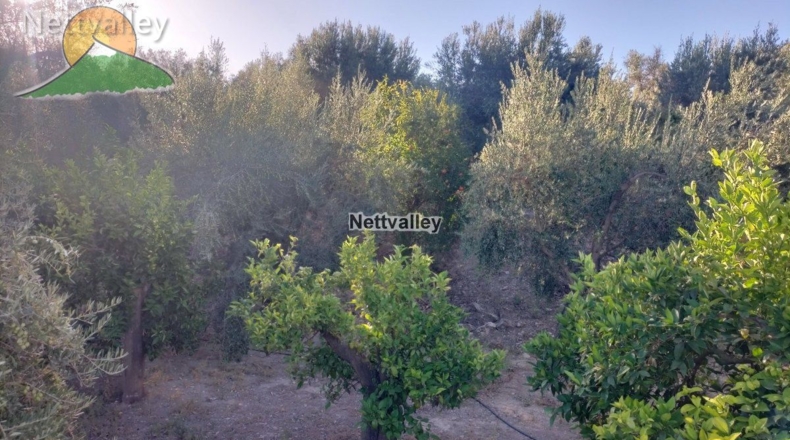 Granada - Pinos del Valle - 5676m2