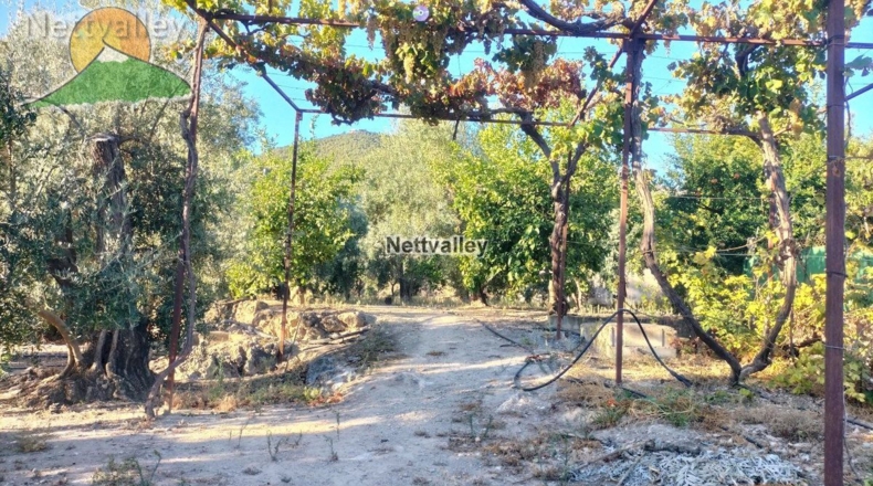 Granada - Pinos del Valle - 5676m2