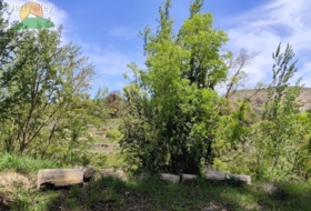 Foto 10