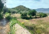 Urban land for sale on España, Acequias, ref: TR110497 photo