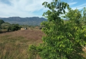 Urban land for sale on España, Acequias, ref: TR110497 photo