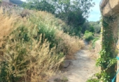 Urban land for sale on España, Acequias, ref: TR110497 photo