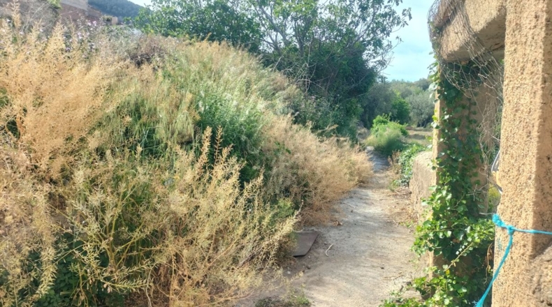 Granada - Acequias - 1000m2