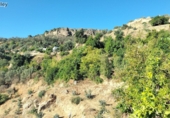 Terreny no urbanitzable en venda a la España, Pinos del Valle, ref.: TR110613 foto
