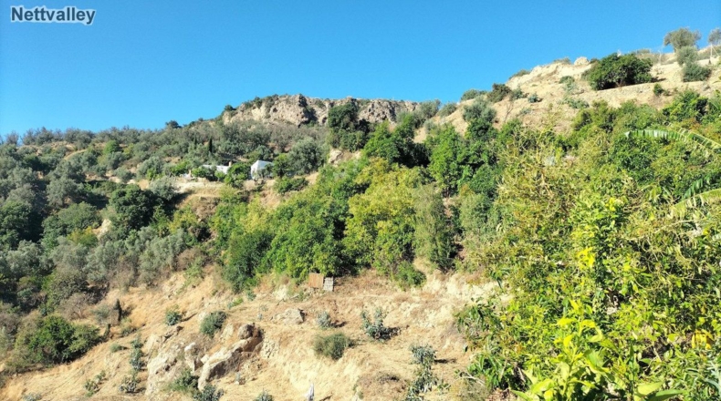 Granada - Pinos del Valle - 3948m2