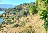 Terreny no urbanitzable en venda a la España, Pinos del Valle, ref.: TR110613 foto