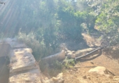 Non-developable land for sale on España, Pinos del Valle, ref: TR109795 photo
