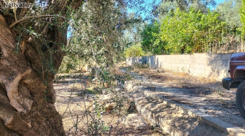 Granada - Pinos del Valle - 2332m2