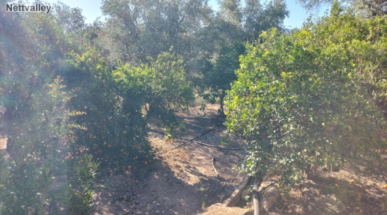 Granada - Pinos del Valle - 2332m2