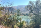 Non-developable land for sale on España, Pinos del Valle, ref: TR109795 photo