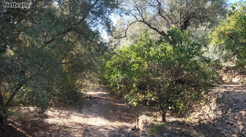 Granada - Pinos del Valle - 2332m2