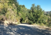 Non-developable land for sale on España, Pinos del Valle, ref: TR109795 photo