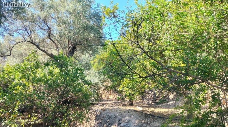 Granada - Pinos del Valle - 2332m2