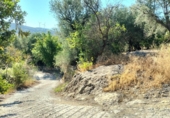 Non-developable land for sale on España, Pinos del Valle, ref: TR109795 photo