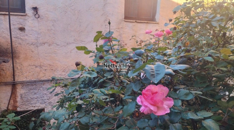 Granada - Pinos del Valle - 353m2