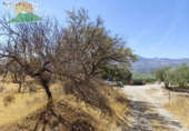 Finca rústica en venta en la España, Talará, ref: TR264351 foto