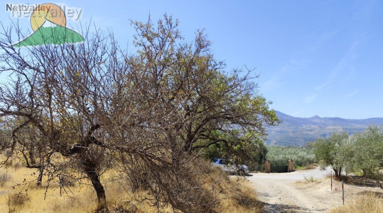 Granada - Talará - 9607m2