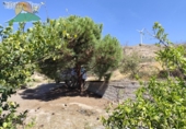 Finca rústica en venta en la España, Talará, ref: TR264351 foto