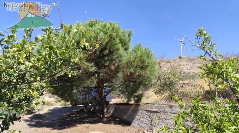 Granada - Talará - 9607m2