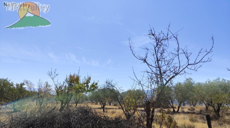Granada - Talará - 9607m2