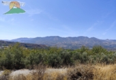 Finca rústica en venta en la España, Talará, ref: TR264351 foto