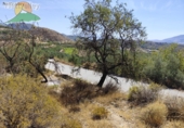 Finca rústica en venta en la España, Talará, ref: TR264351 foto