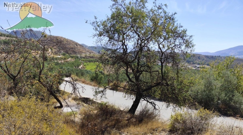 Granada - Talará - 9607m2